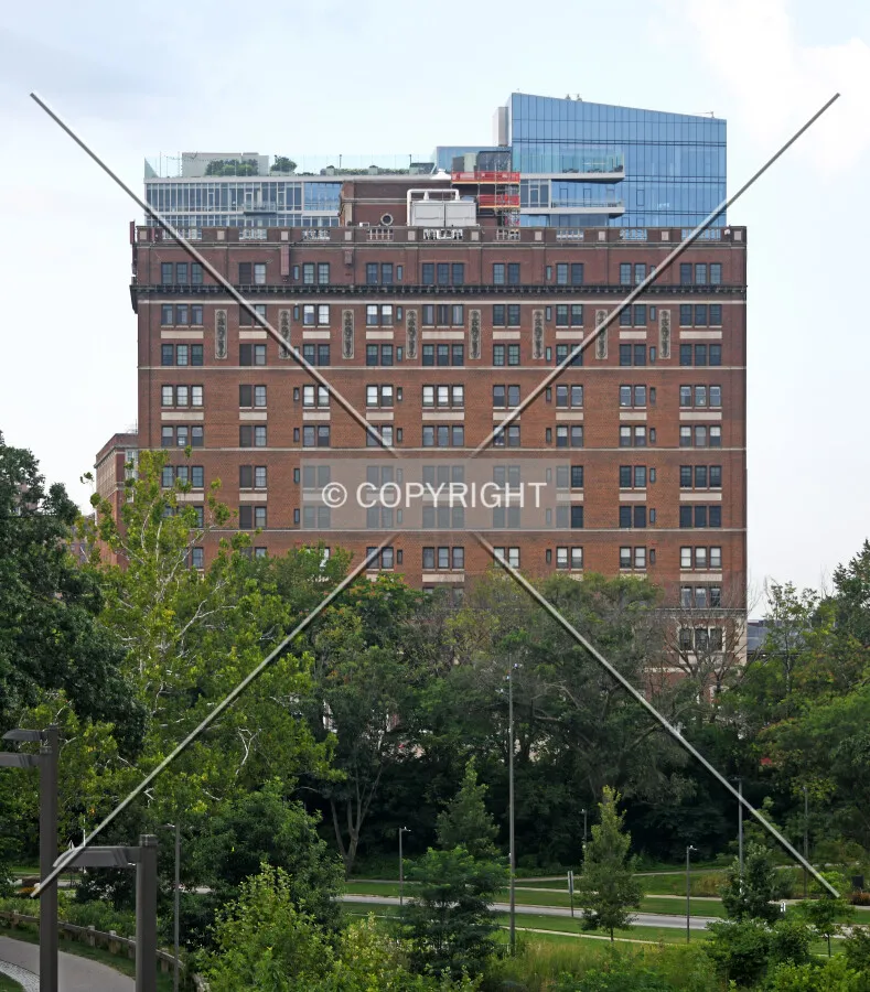 View from the north