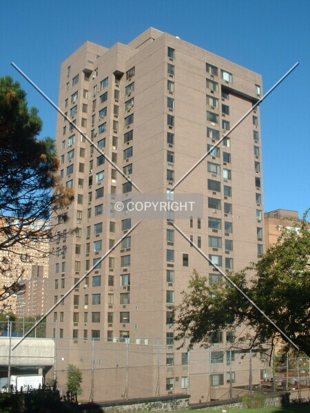 Photo 162-176-466