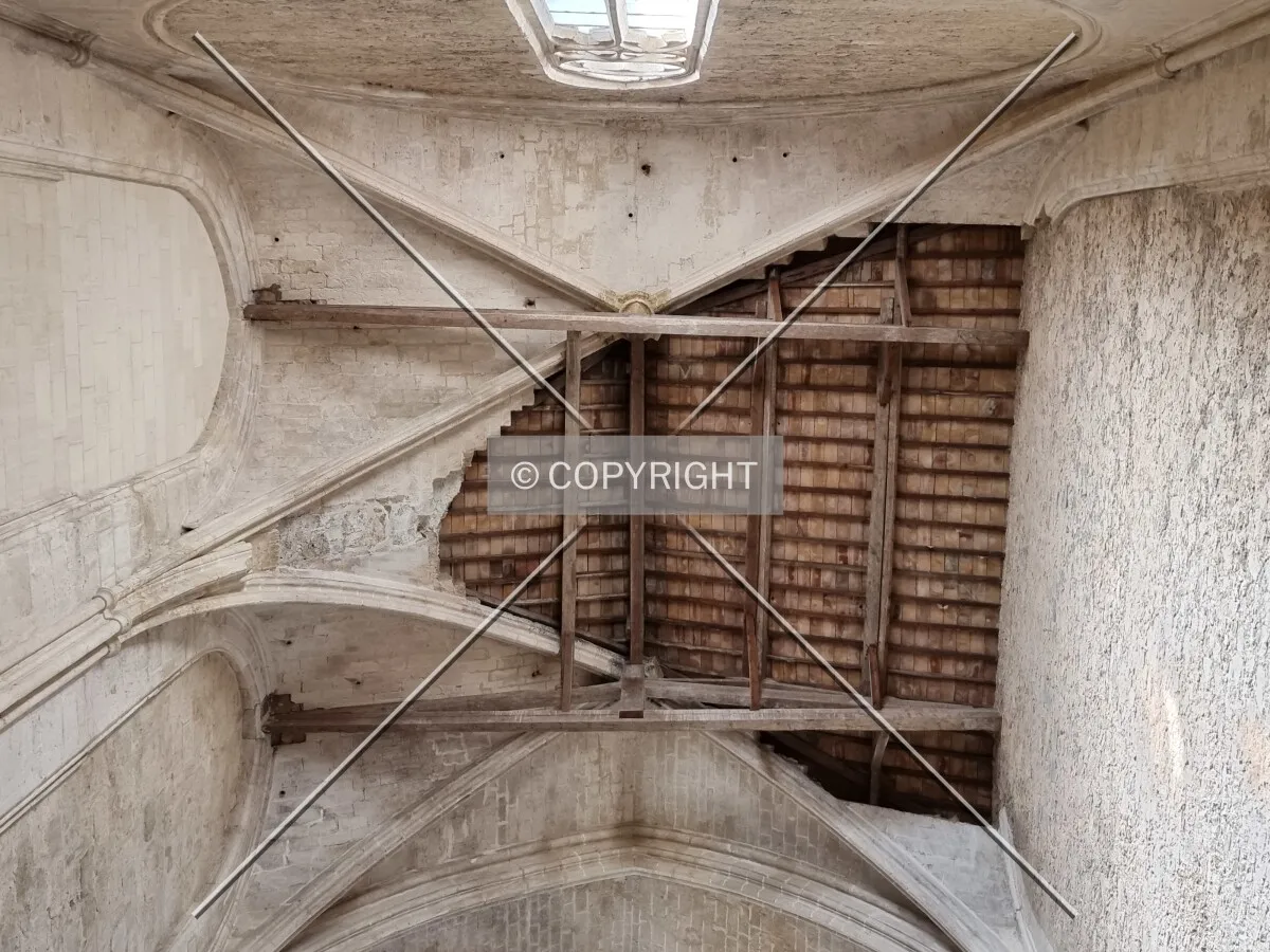 Photo 162-279-762