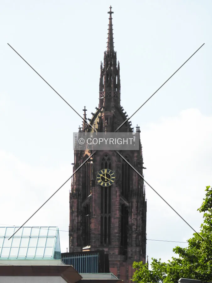Photo 162-540-766