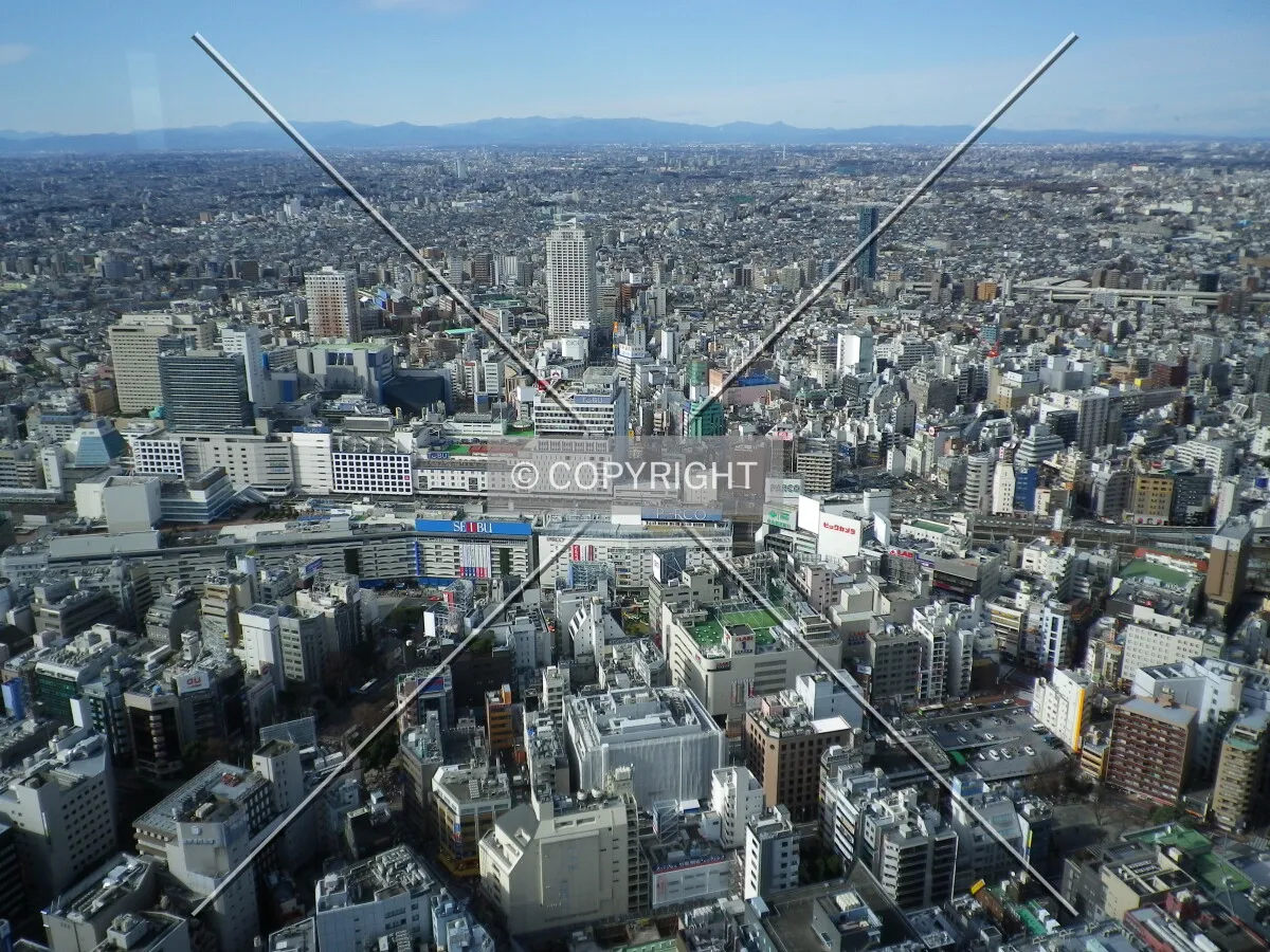 Photo 162-827-581