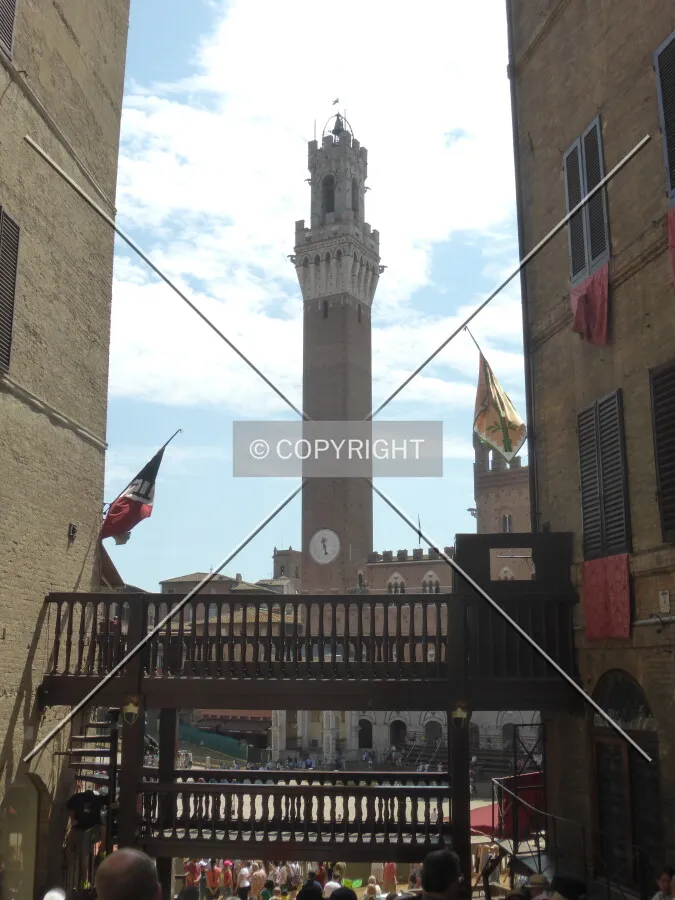 Photo 016-283-877