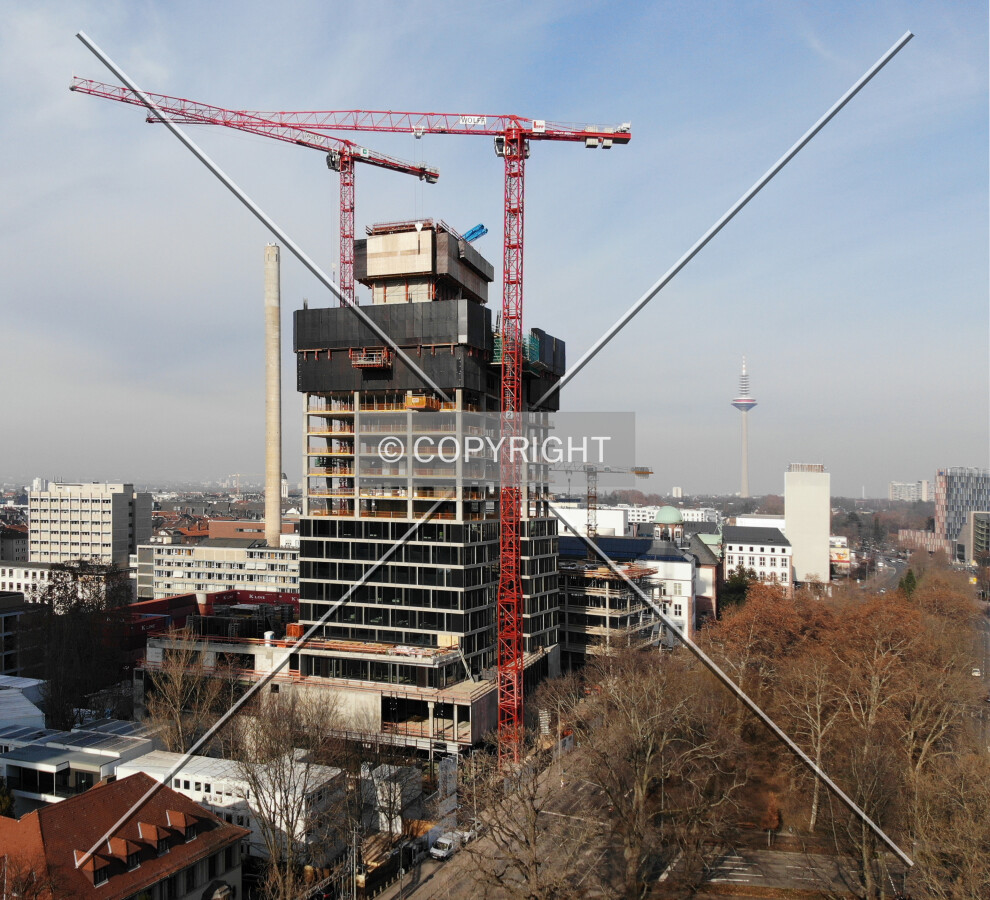Photo 163-019-475