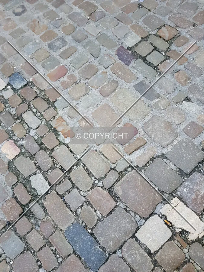 Photo 163-203-234