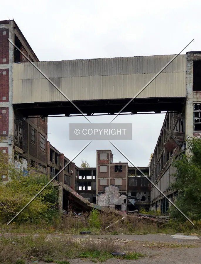 Photo 163-218-324