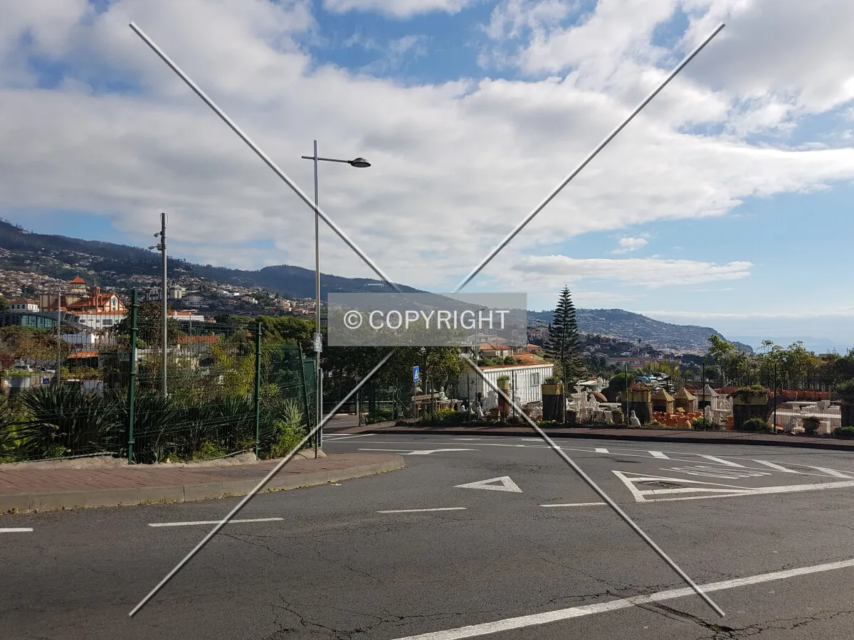 Photo 163-286-816
