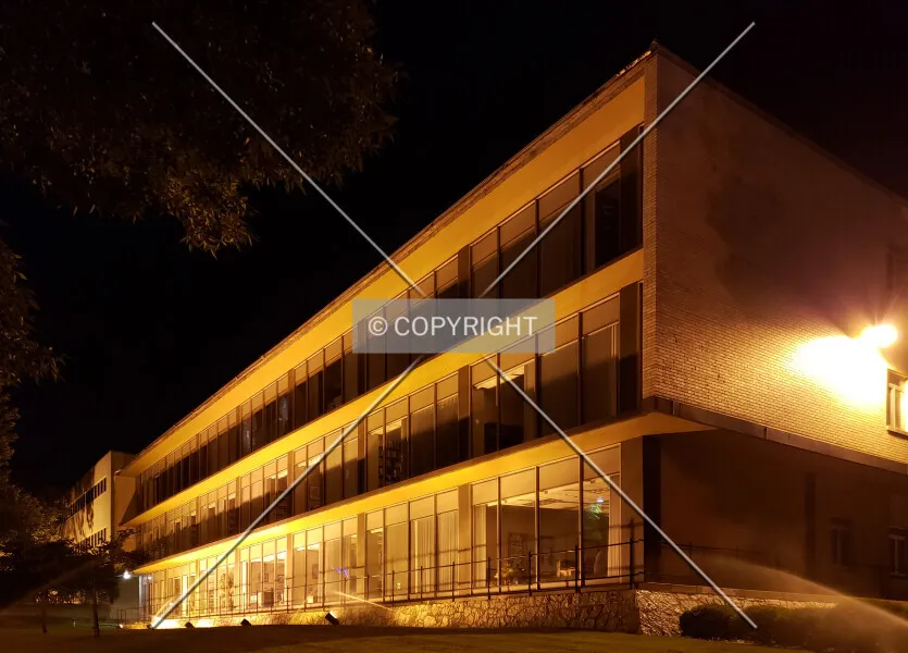 Photo 163-324-498