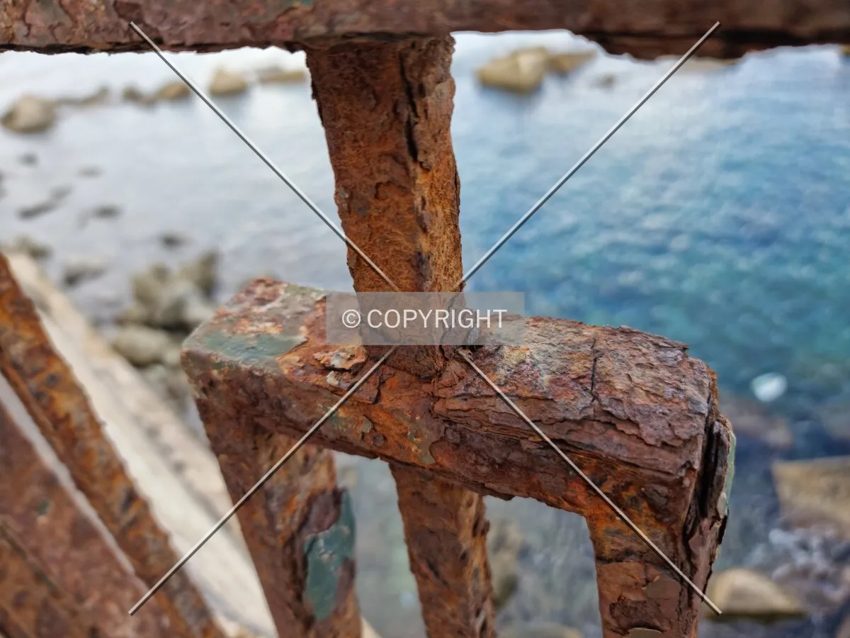 Photo 163-398-845