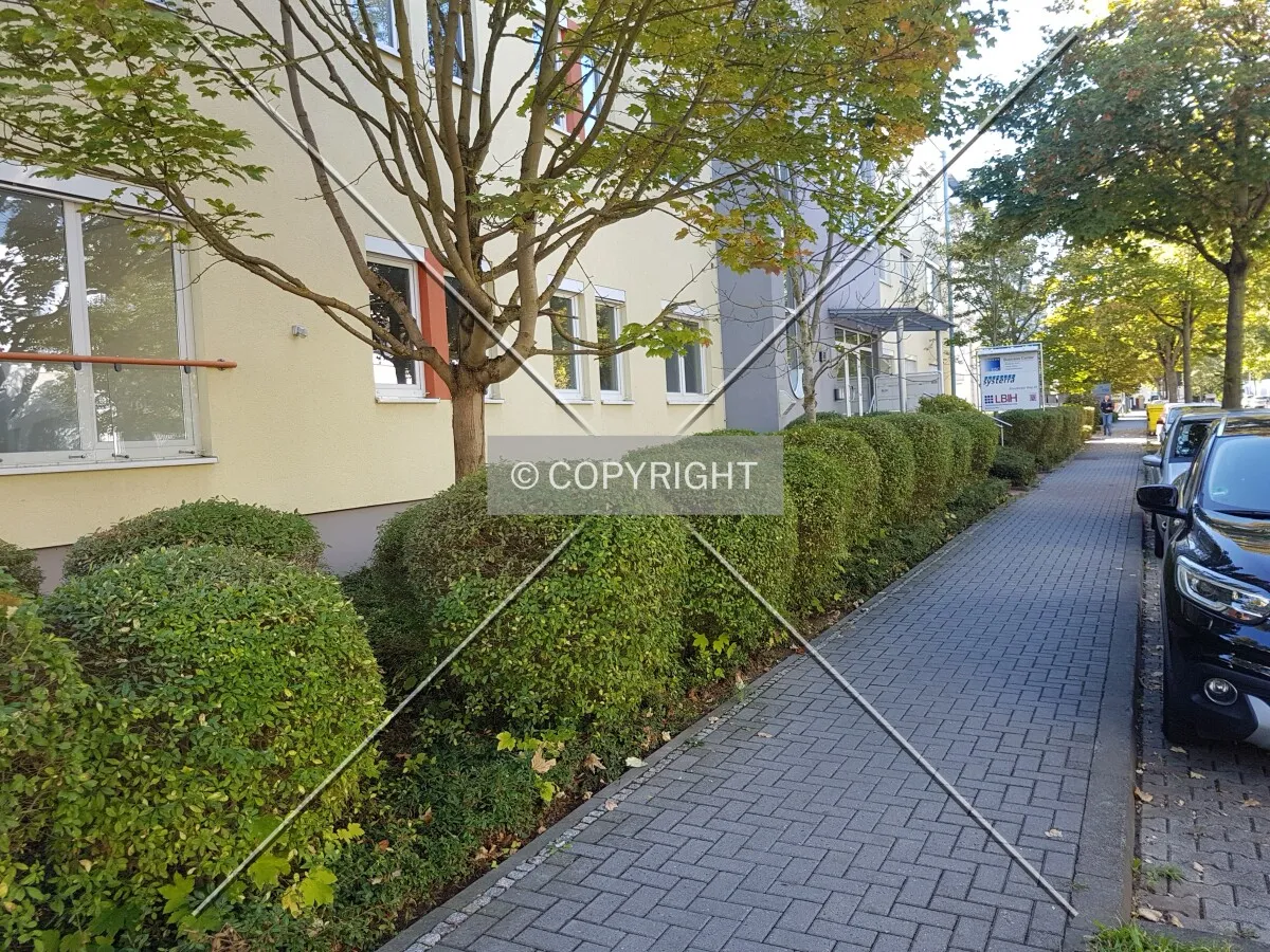 Photo 163-628-981