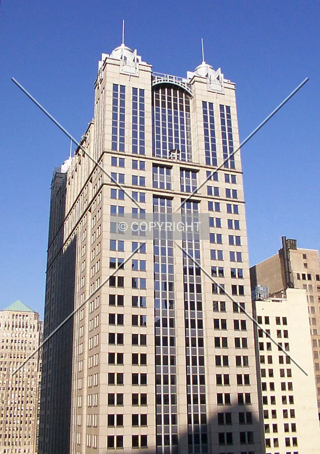 View from the south