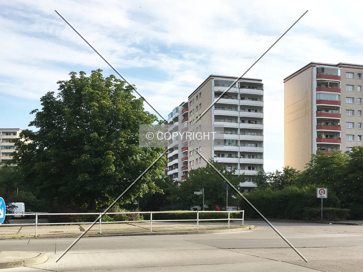 Photo 163-976-160