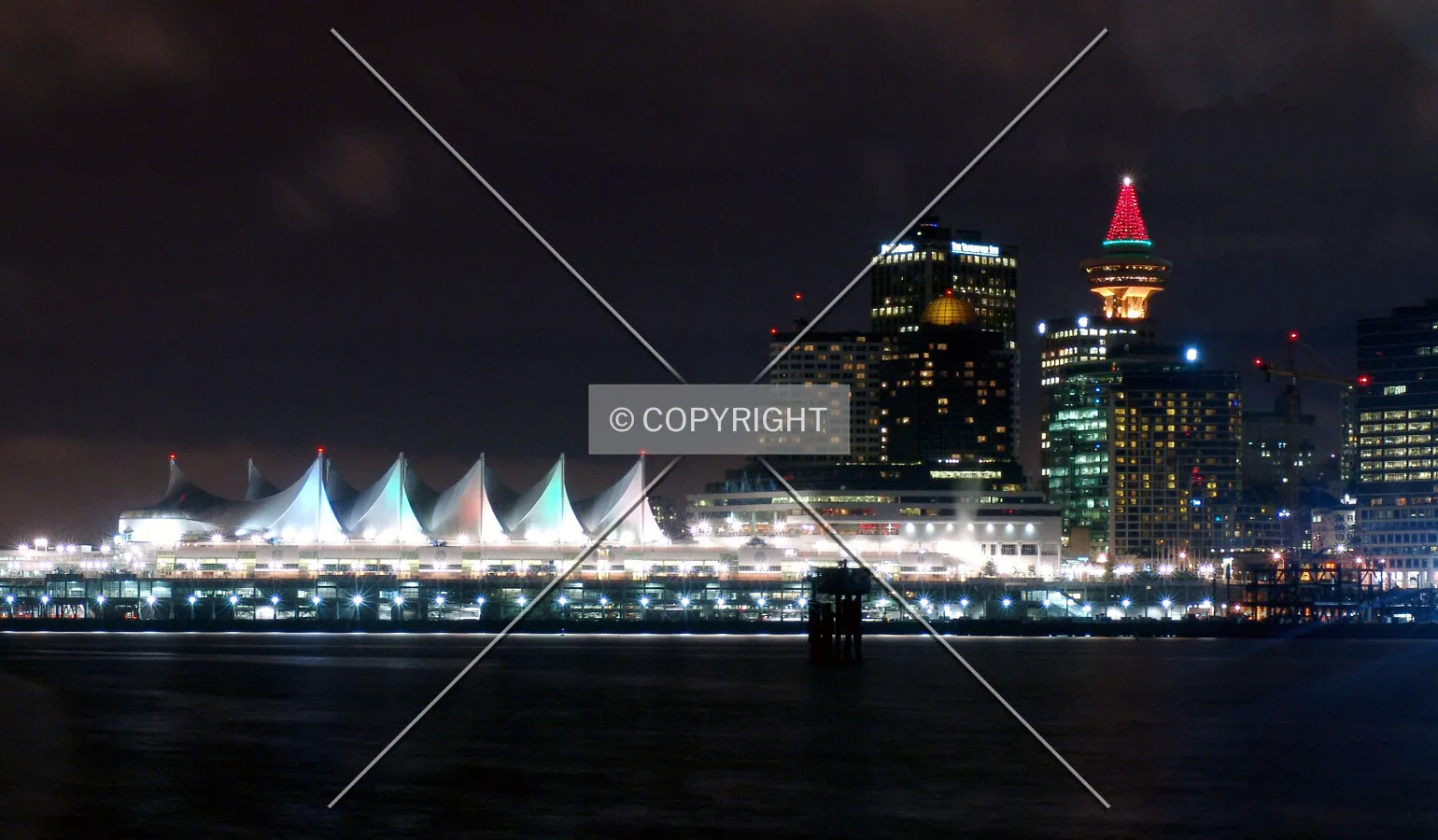 View from Stanley Park at night