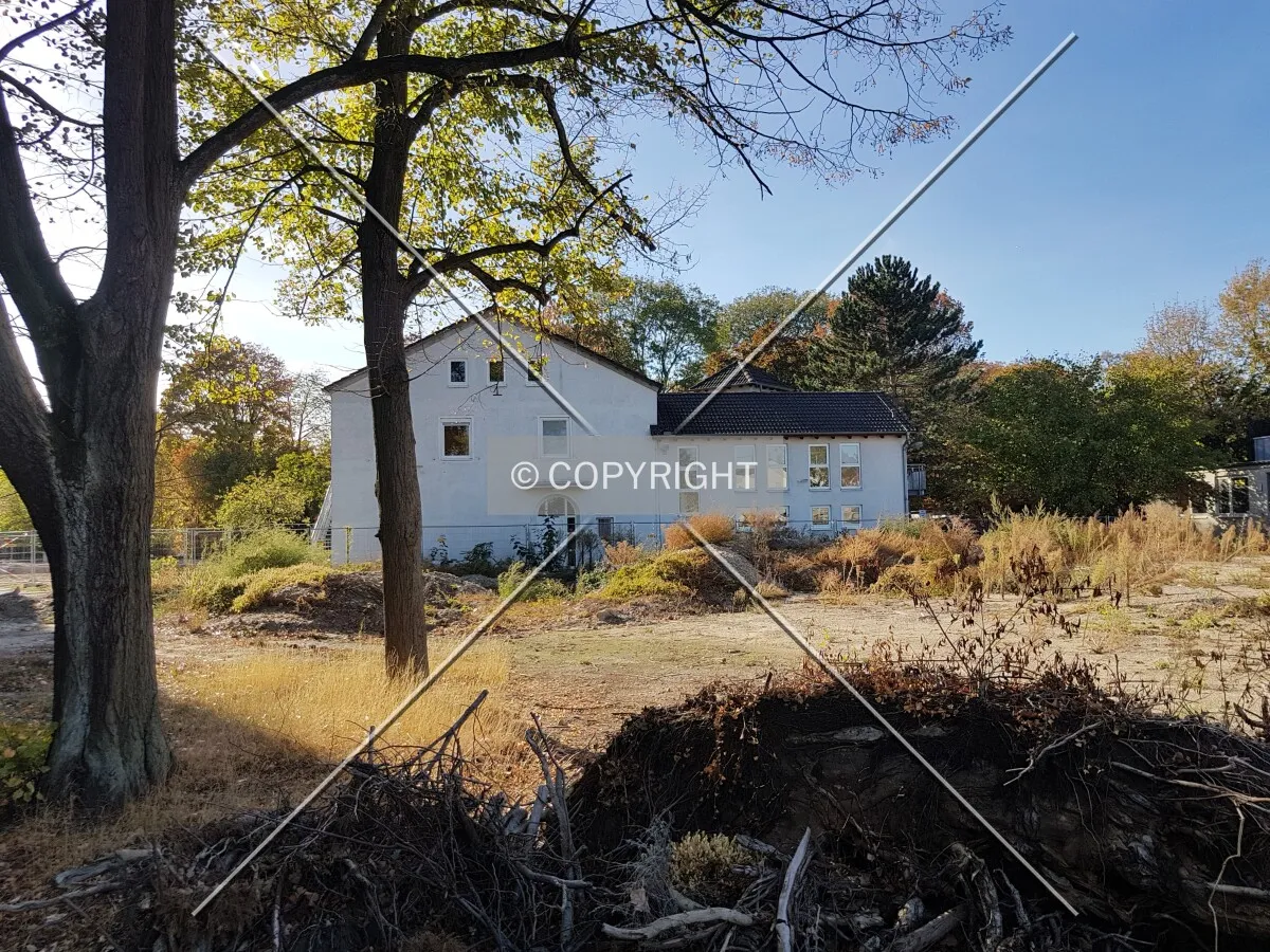 Photo 164-148-323