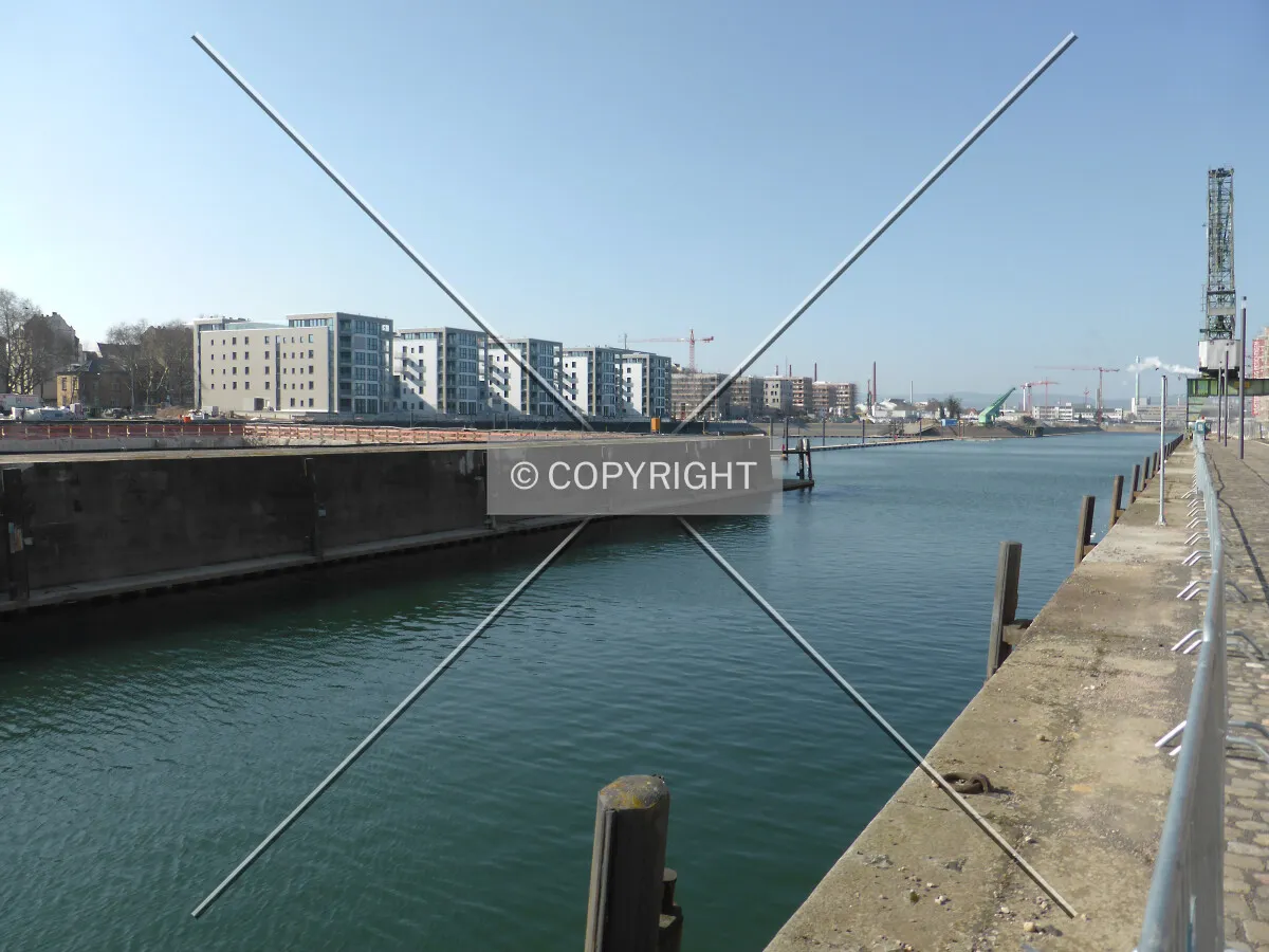 Photo 164-257-278