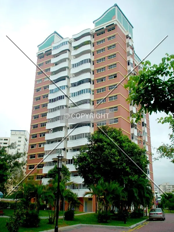 View from Block 781