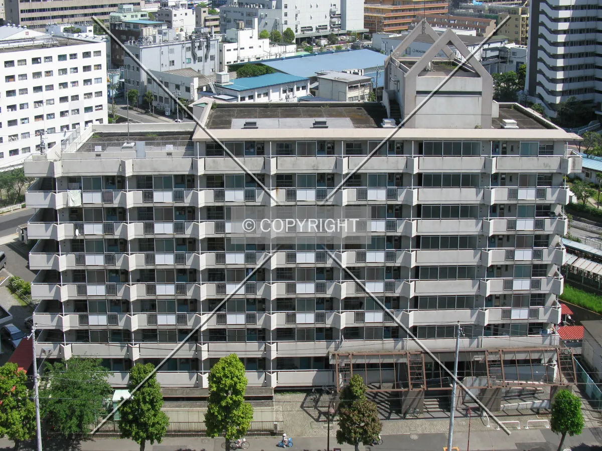 View from the northwest