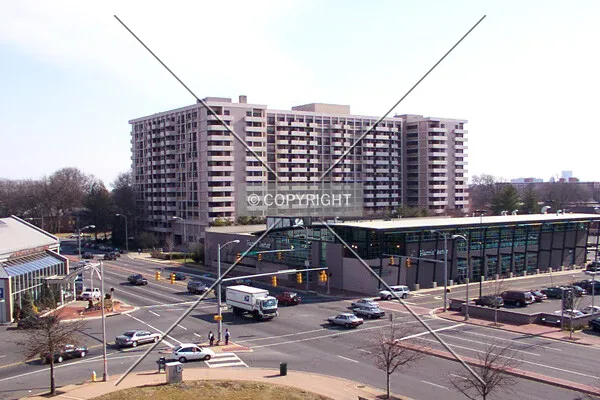 View from the northwest