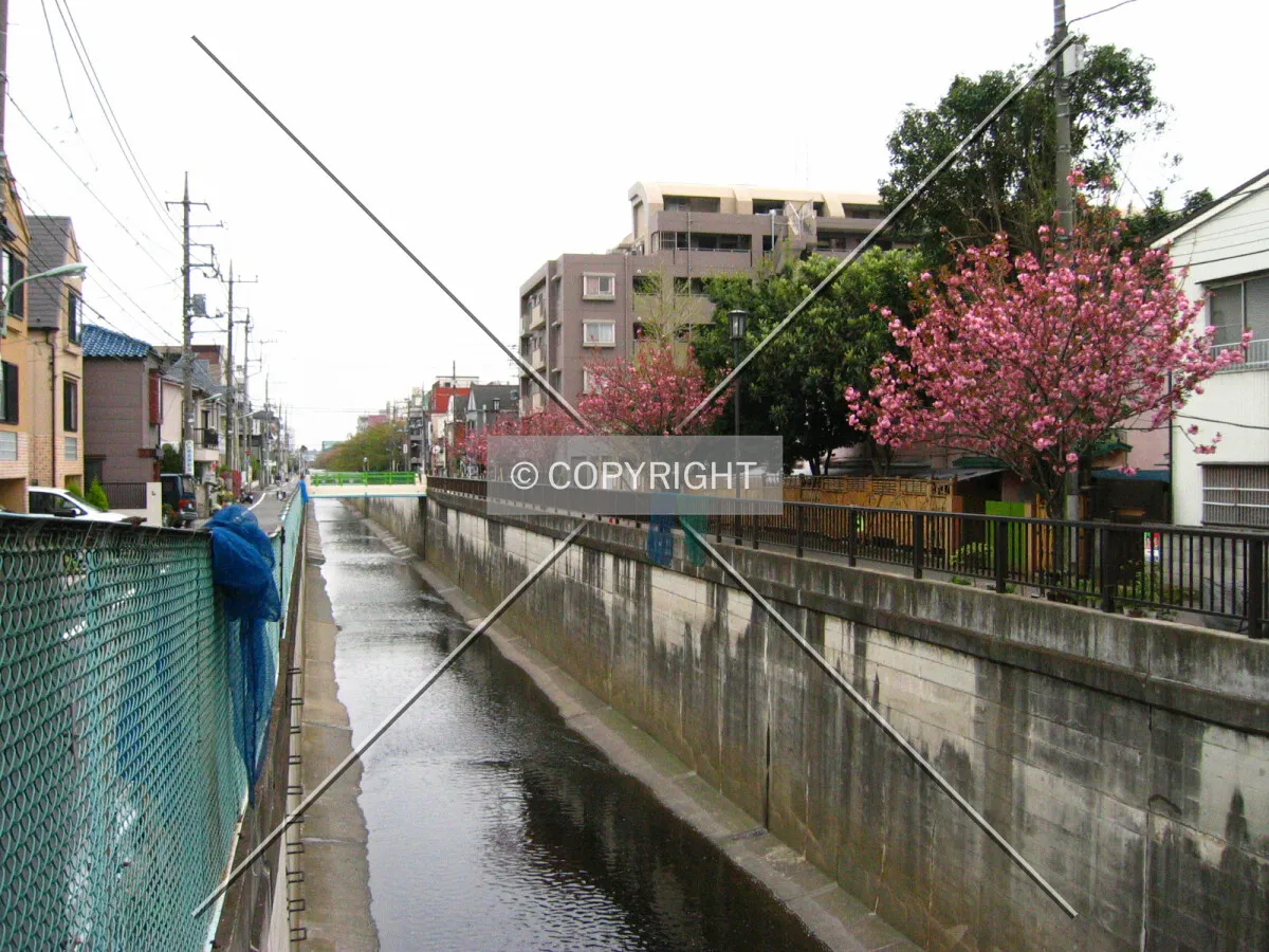 Photo 164-407-404