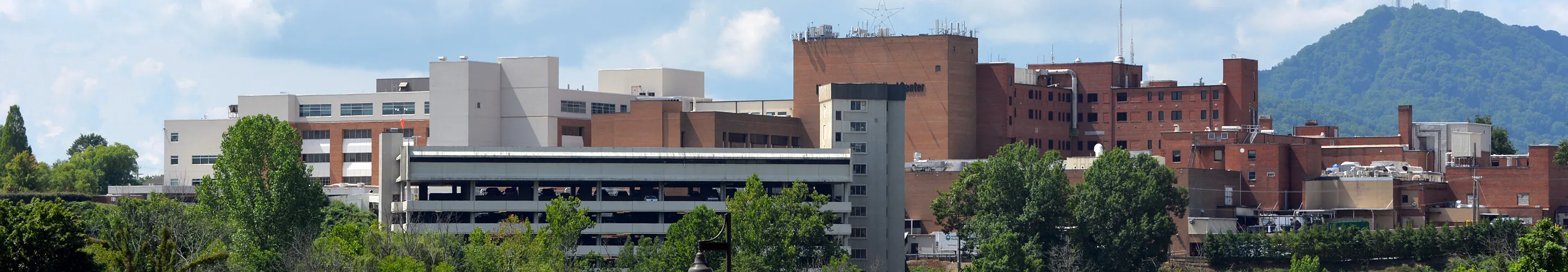 Panorama of Kingsport