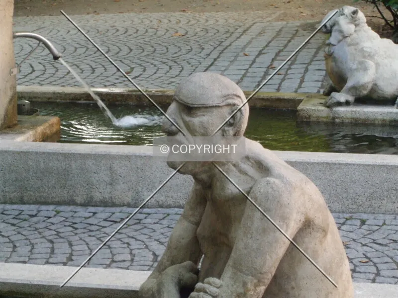 Photo 164-581-266