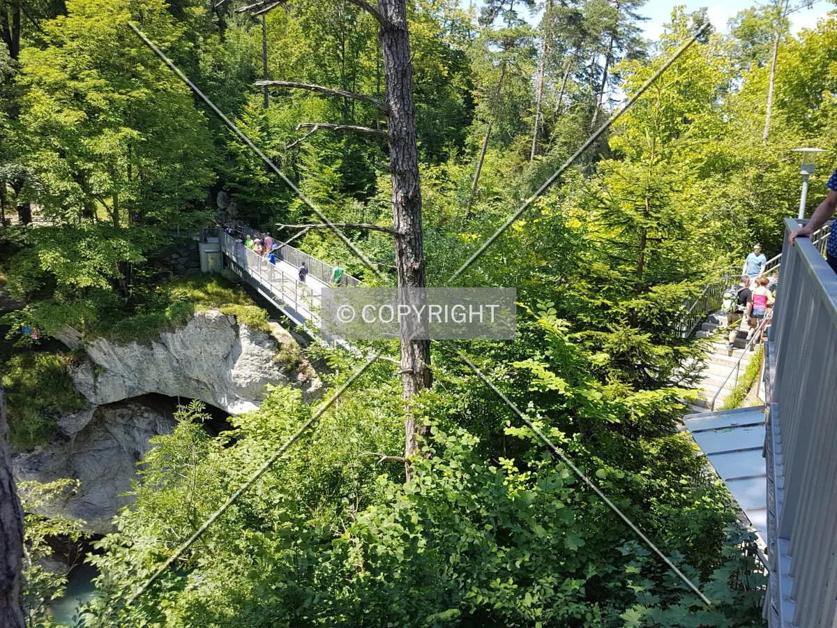 Photo 164-587-614
