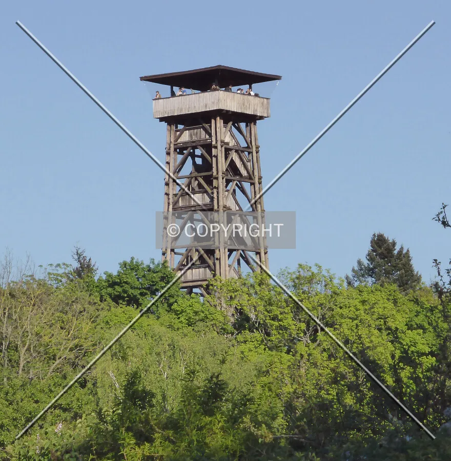 Photo 016-460-414