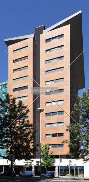 Photo 164-696-445