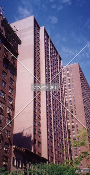 Photo 164-768-448