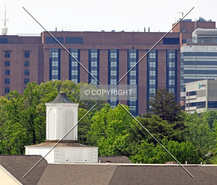 Photo 164-781-175