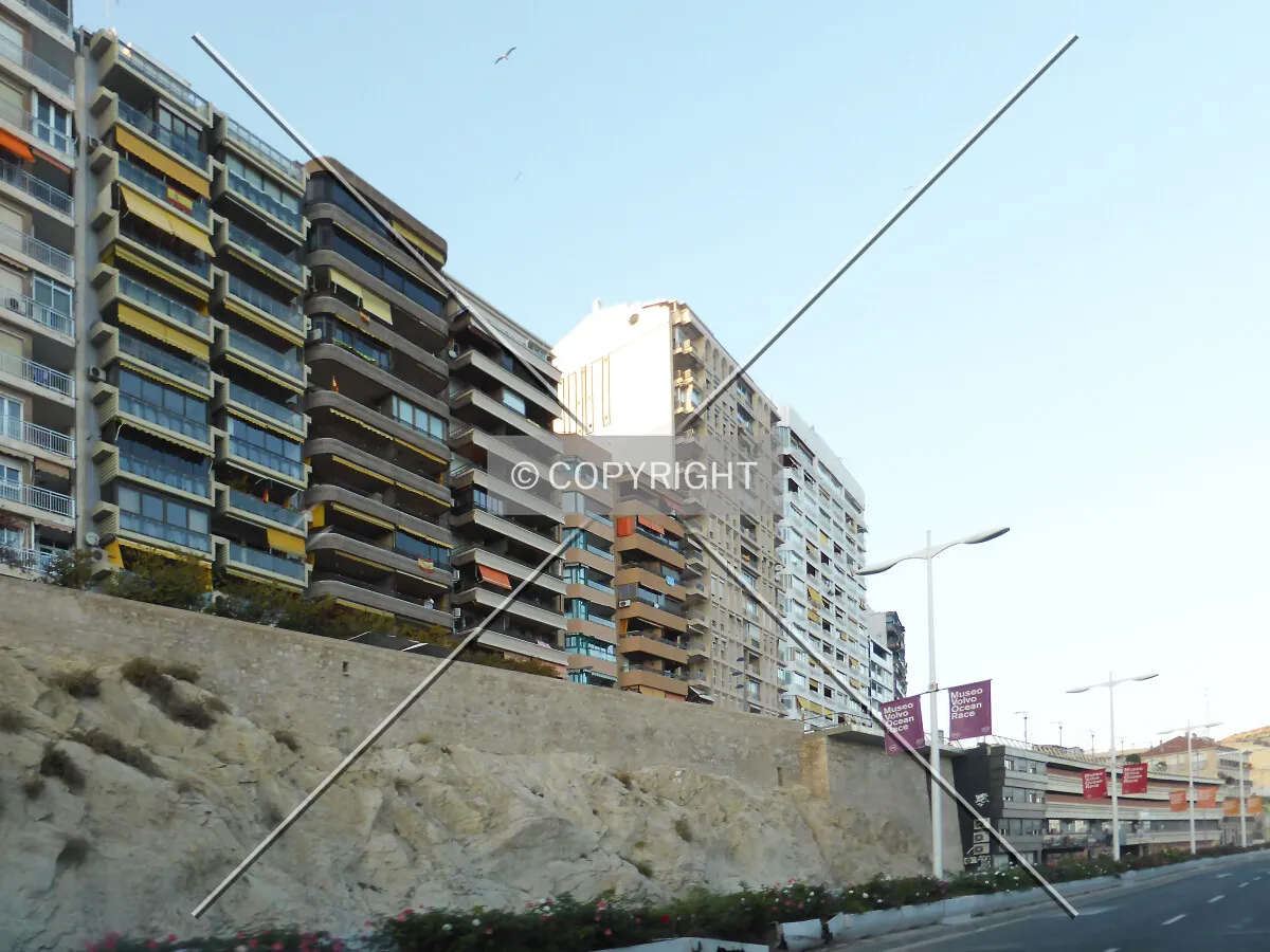 Photo 165-142-872