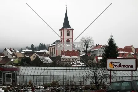 Photo 165-157-455