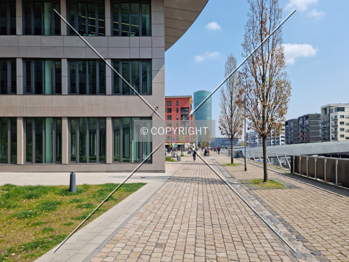 Photo 165-289-651