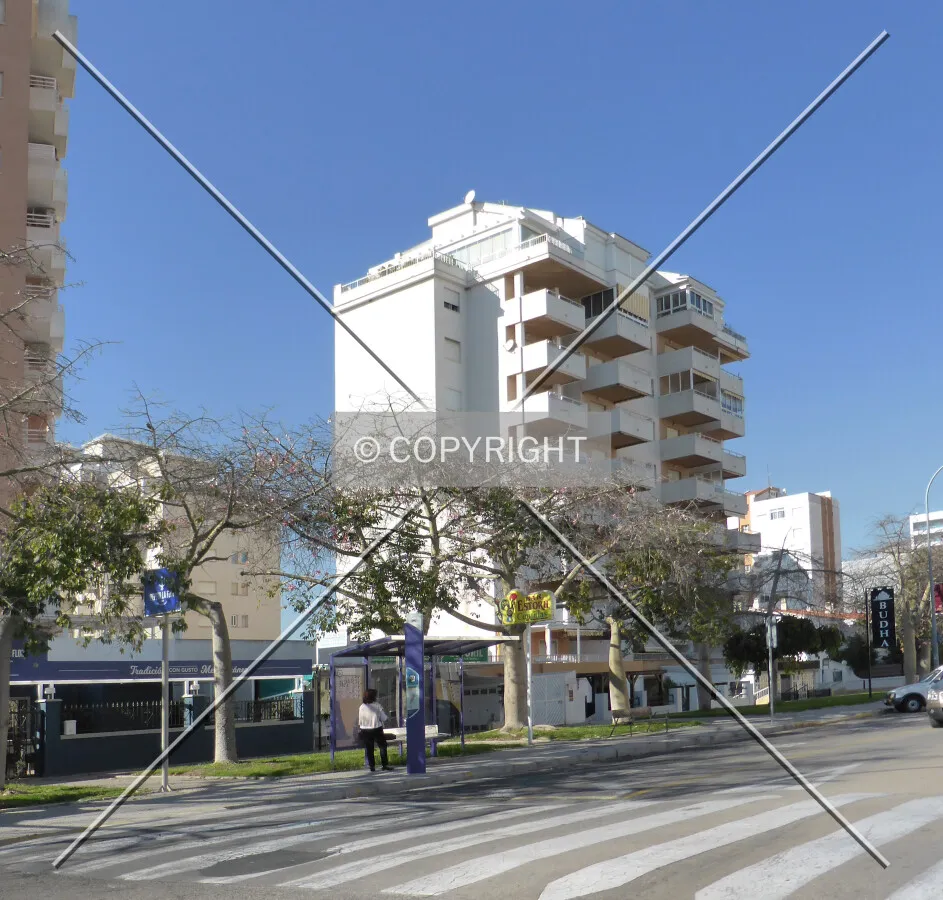 Photo 165-315-621