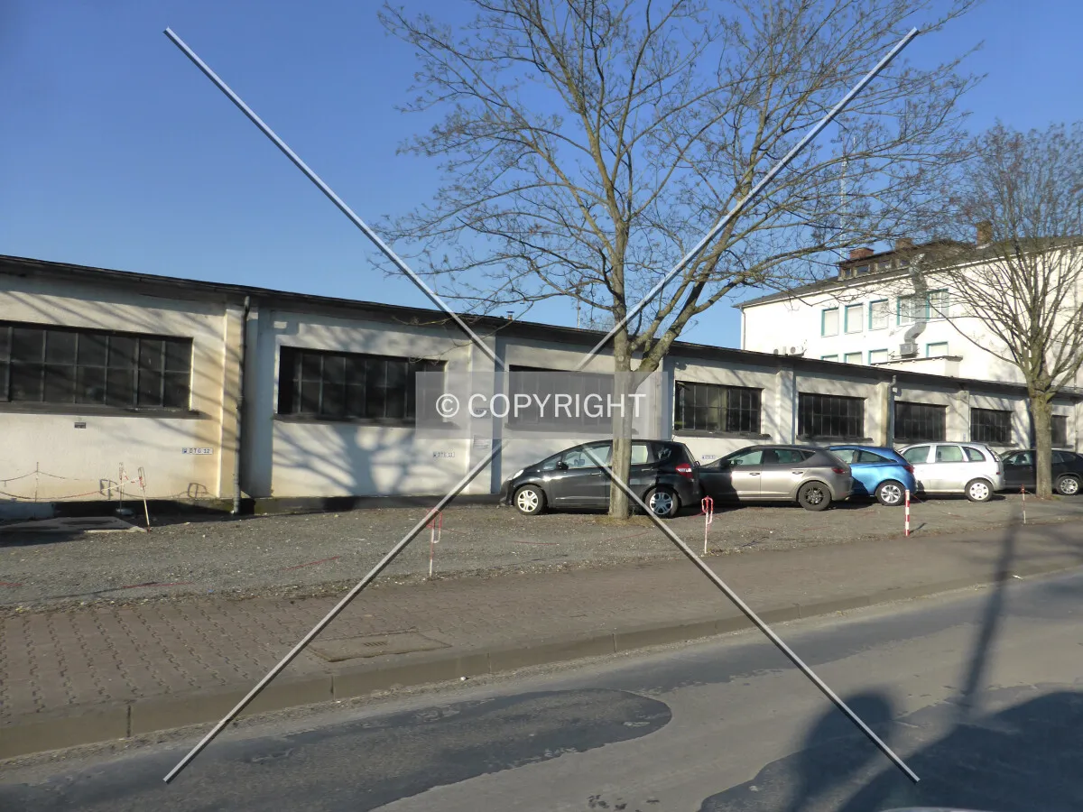 Photo 165-529-589