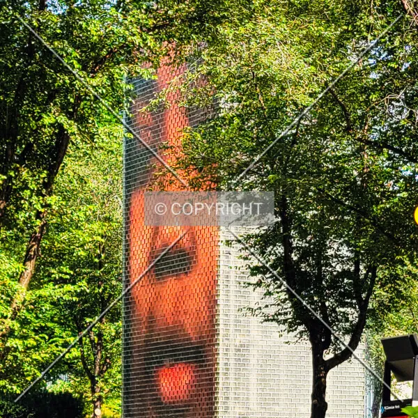 Photo 165-647-690