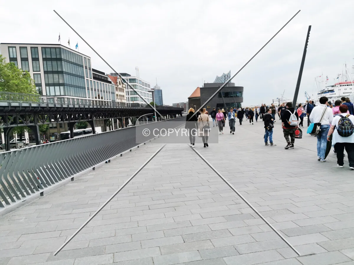 Photo 165-673-593