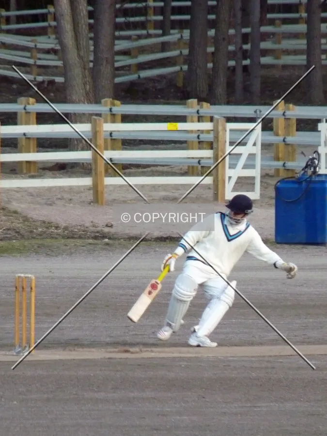 cricket game