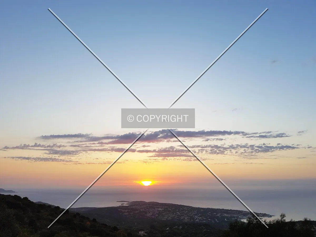 Photo 165-791-658