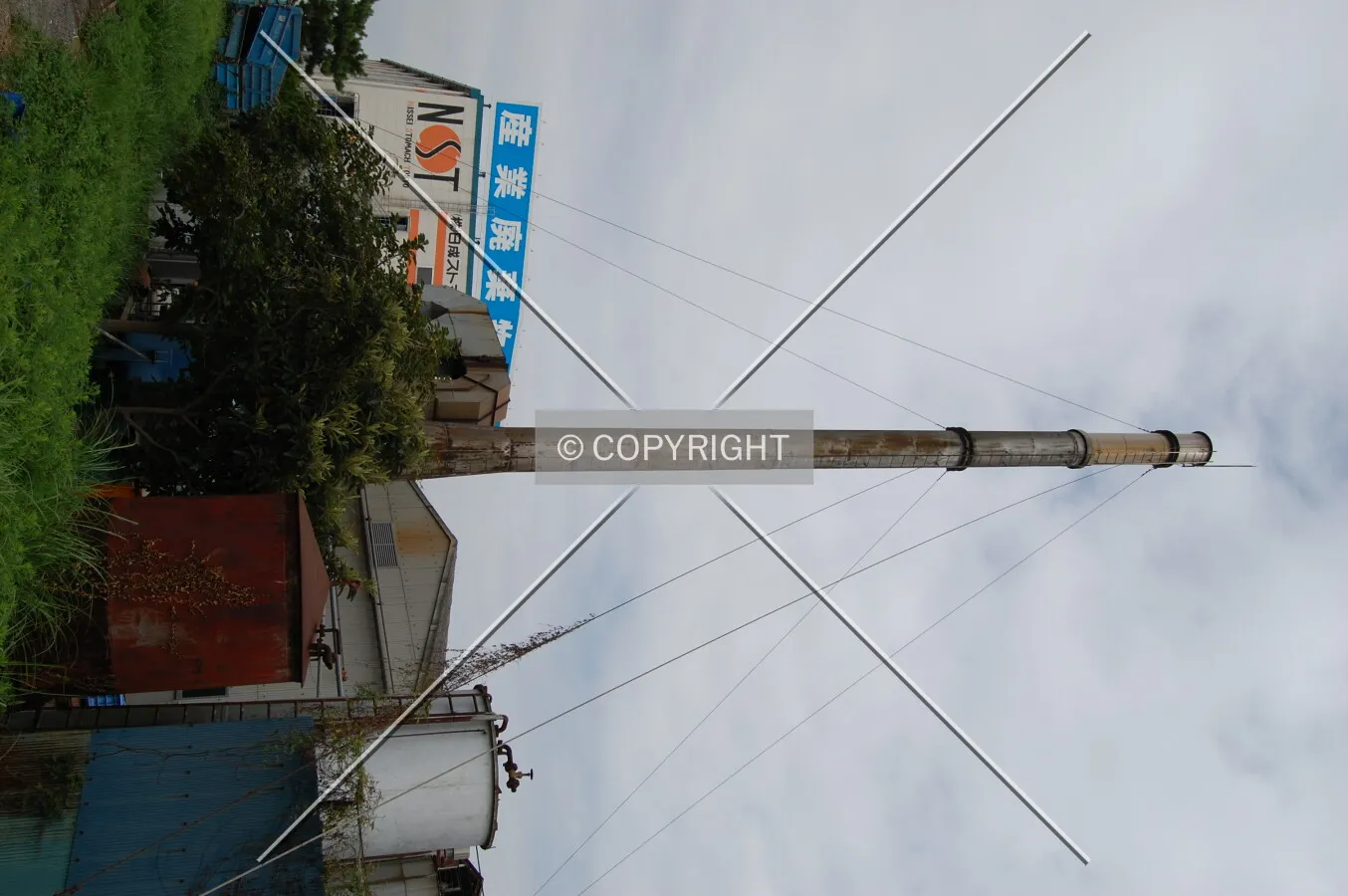 Photo 166-445-345