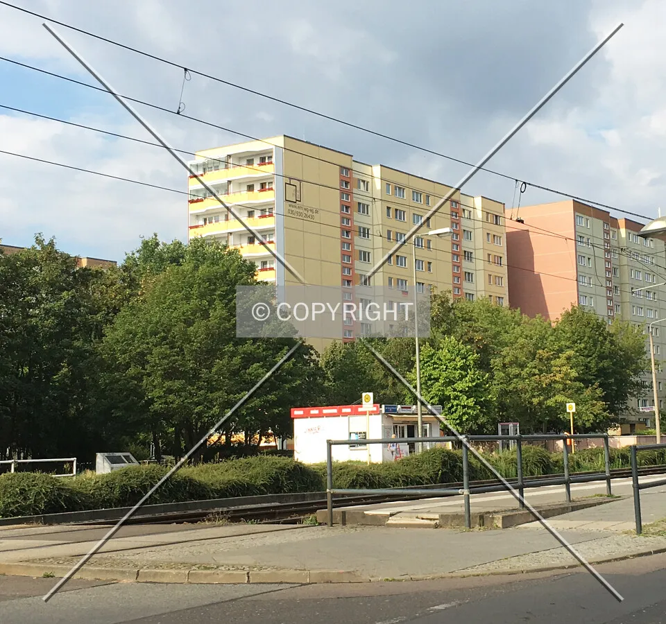Photo 166-737-938