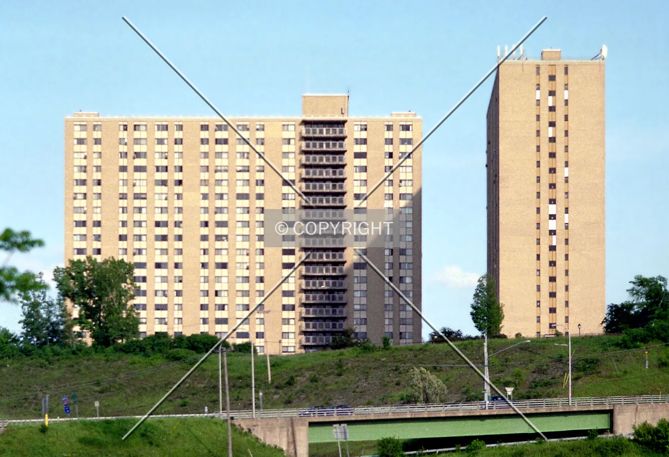 View from the northwest