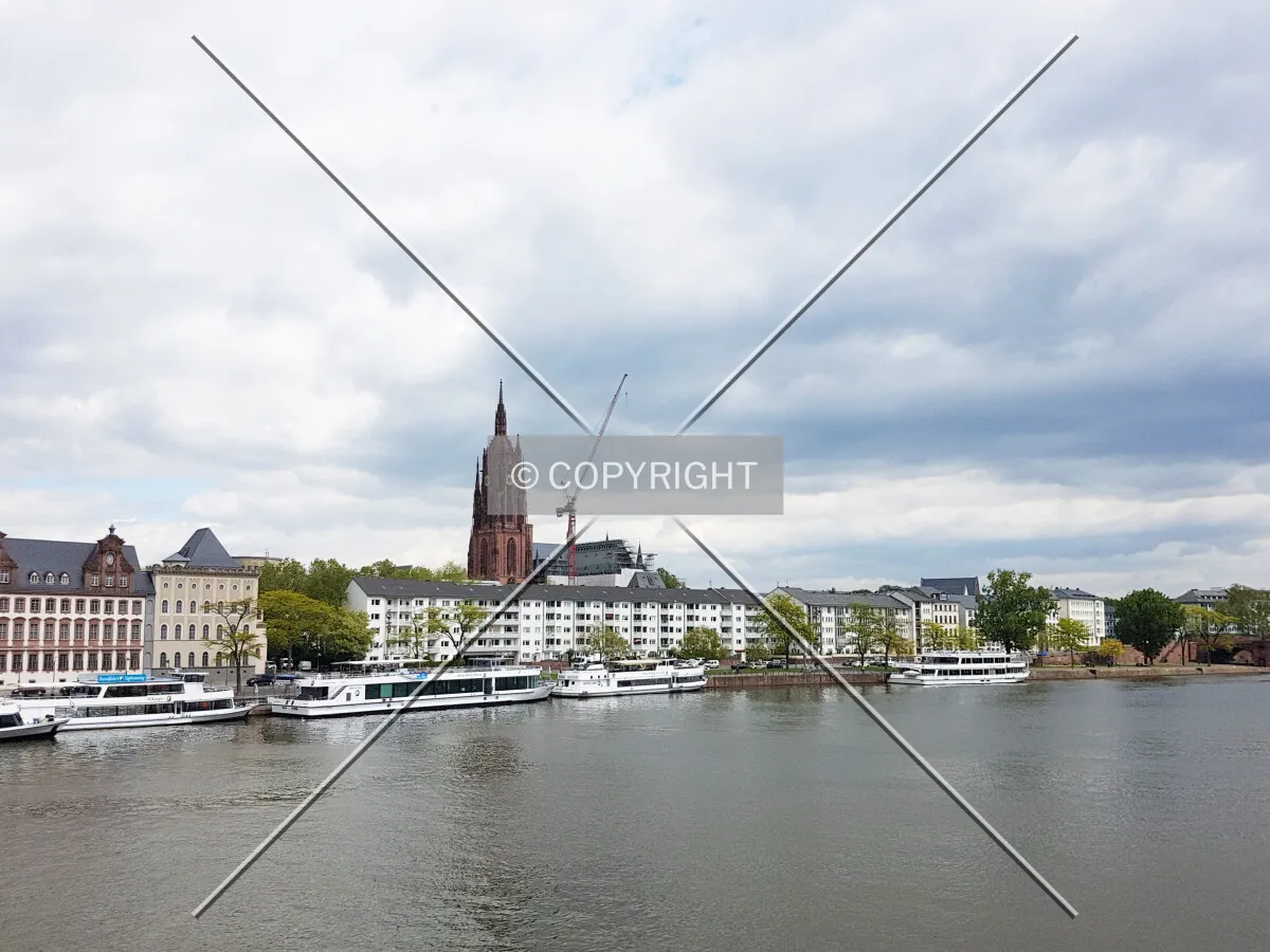 Photo 167-216-861