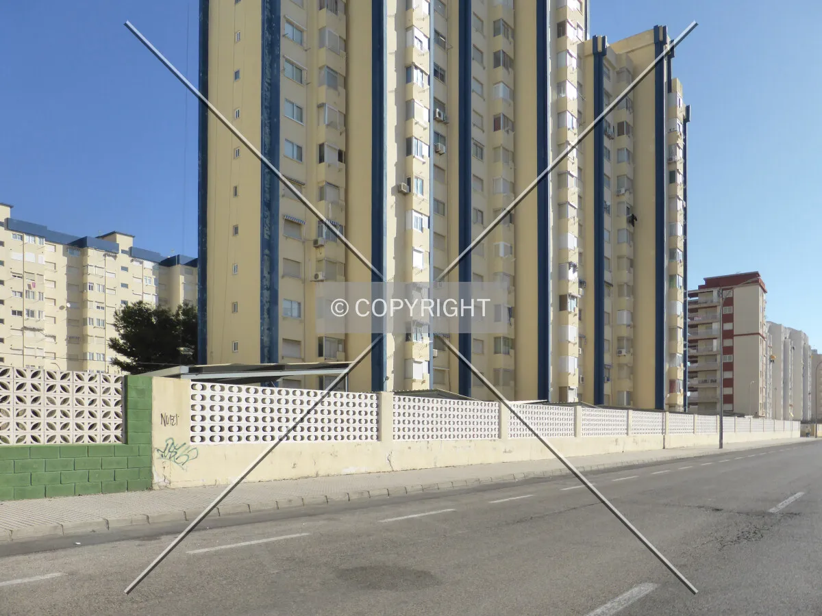Photo 167-269-624