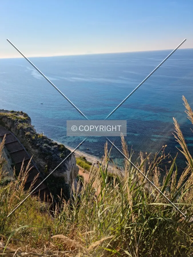Photo 167-372-635