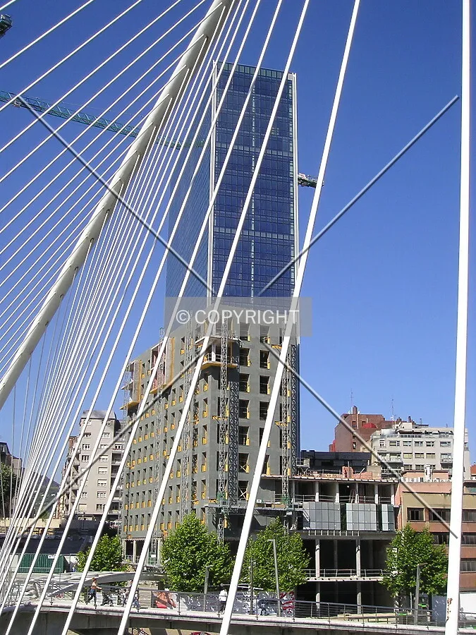 View with the Calatrava bridge in between