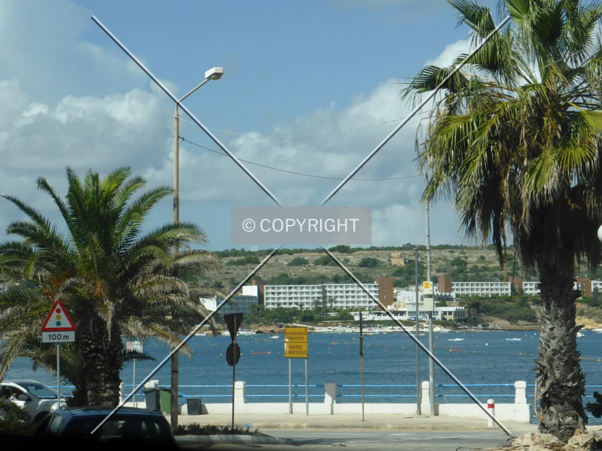 Photo 167-424-767
