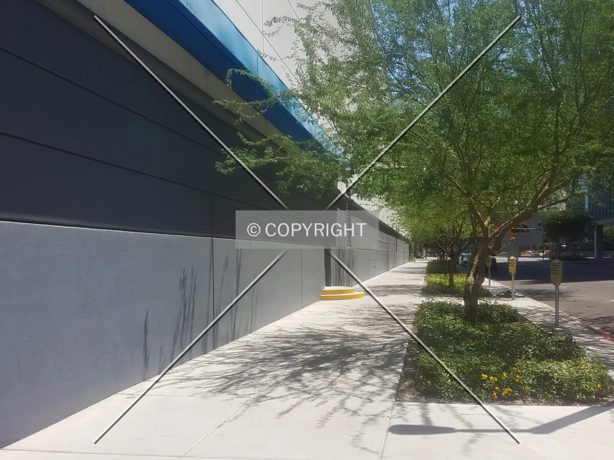 Photo 167-450-623