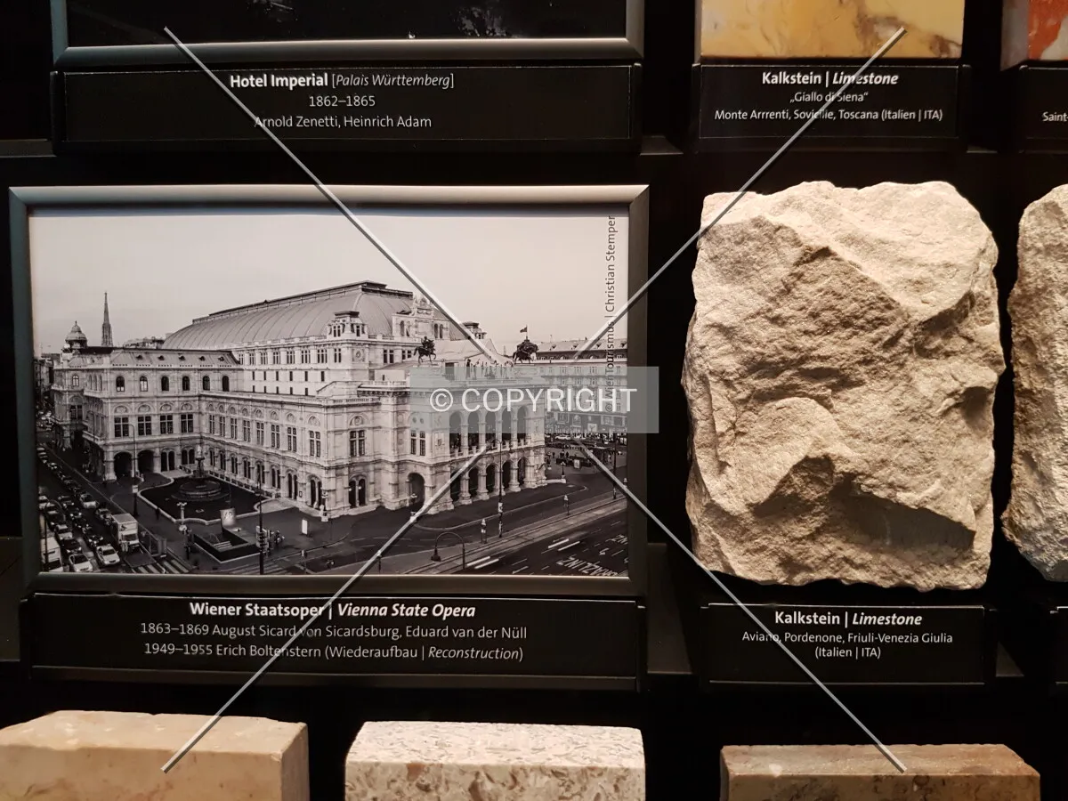 Photo 167-539-754