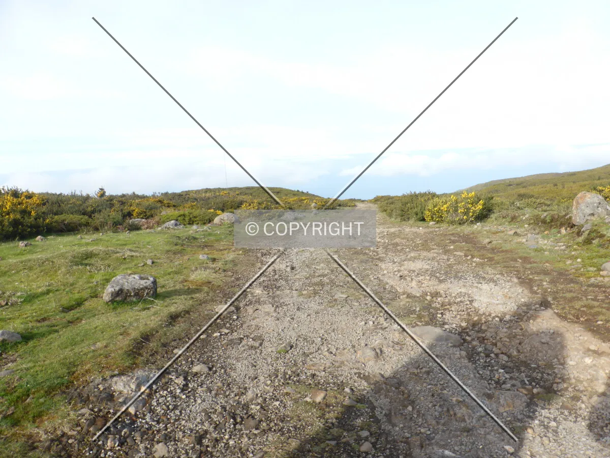 Photo 167-541-090
