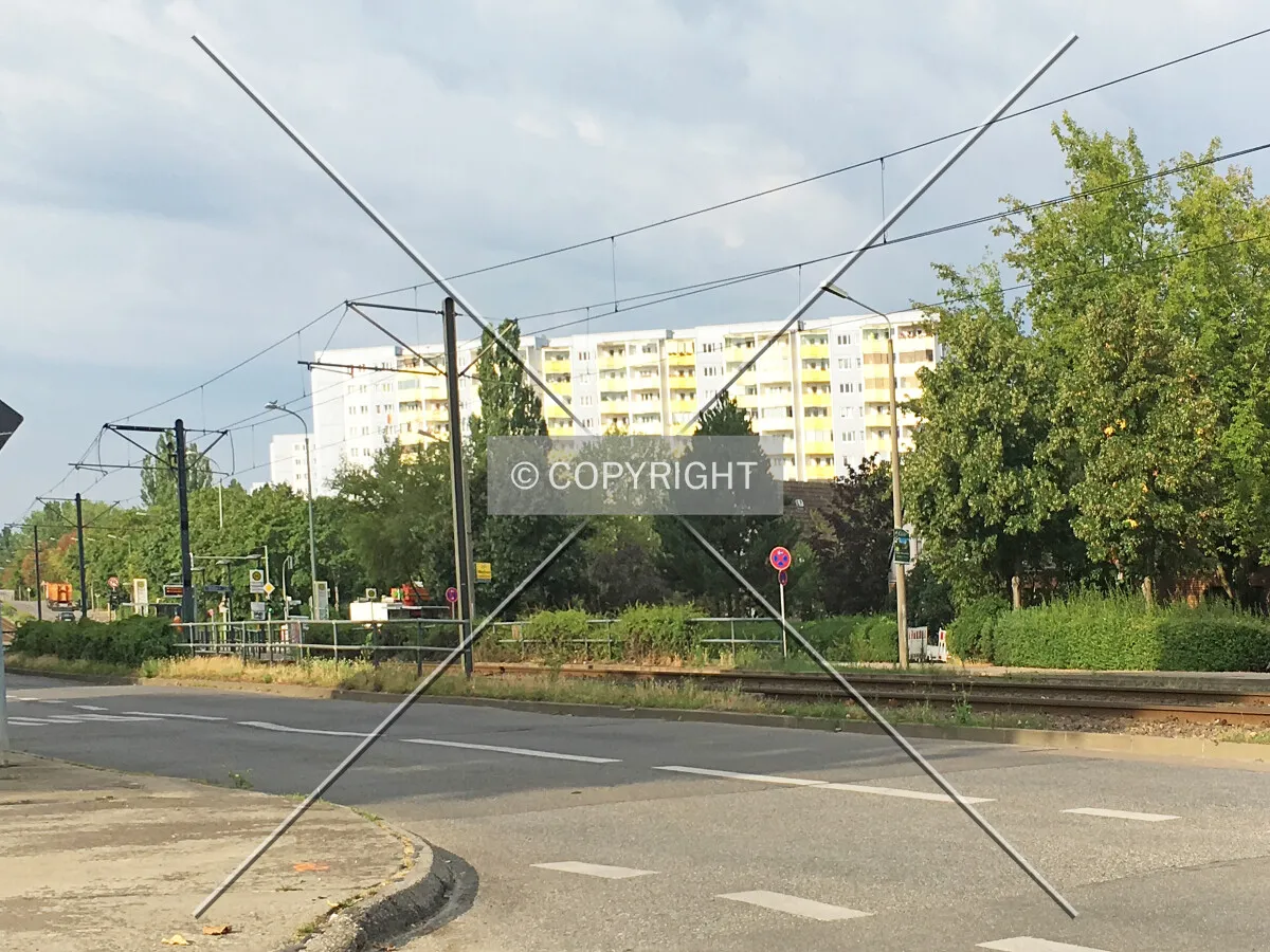 Photo 167-753-464